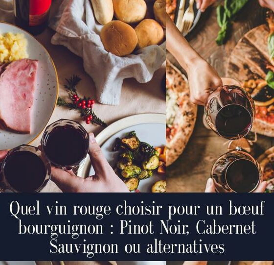 Quel vin rouge choisir pour un bœuf bourguignon : Pinot Noir, Cabernet Sauvignon ou alternatives