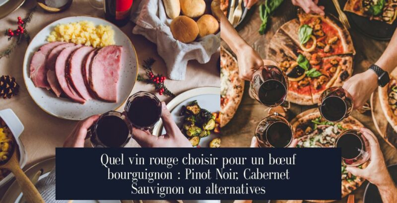 Quel vin rouge choisir pour un bœuf bourguignon : Pinot Noir, Cabernet Sauvignon ou alternatives
