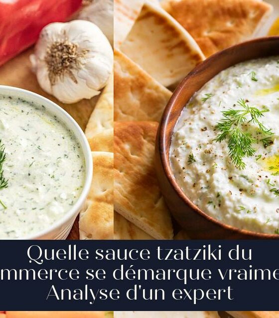 Quelle sauce tzatziki du commerce se démarque vraiment Analyse d'un expert