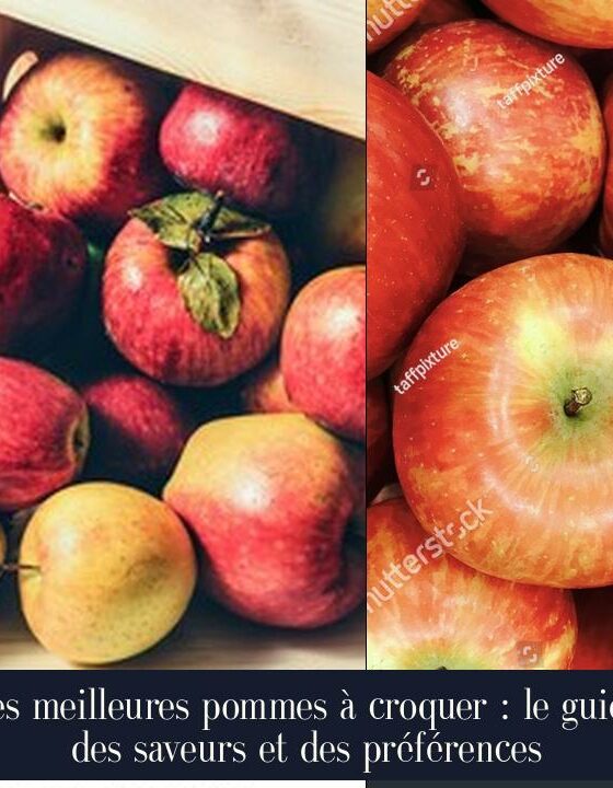 Les meilleures pommes à croquer : le guide des saveurs et des préférences