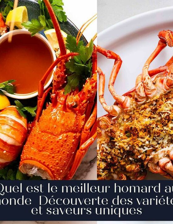 Quel est le meilleur homard au monde Découverte des variétés et saveurs uniques