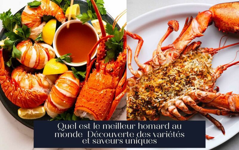 Quel est le meilleur homard au monde Découverte des variétés et saveurs uniques