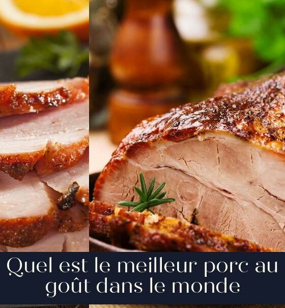 Quel est le meilleur porc au goût dans le monde
