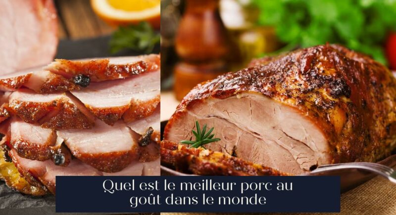 Quel est le meilleur porc au goût dans le monde