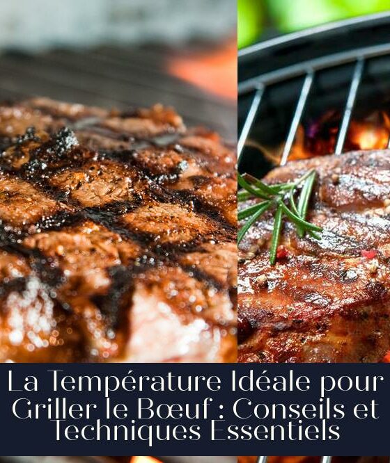 La Température Idéale pour Griller le Bœuf : Conseils et Techniques Essentiels