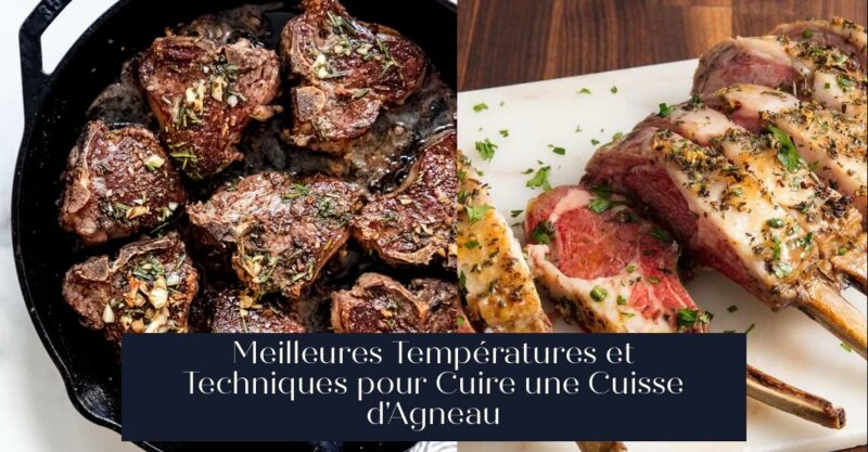 Meilleures Températures et Techniques pour Cuire une Cuisse d'Agneau