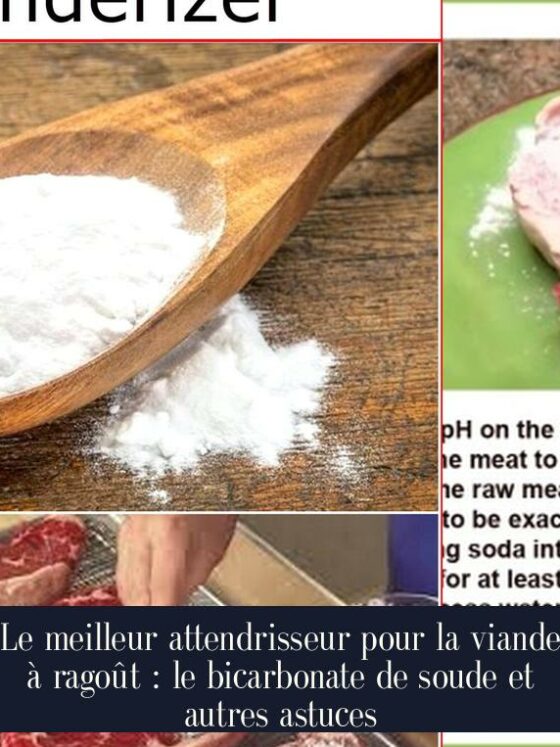 Le meilleur attendrisseur pour la viande à ragoût : le bicarbonate de soude et autres astuces