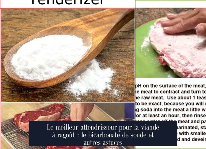 Le meilleur attendrisseur pour la viande à ragoût : le bicarbonate de soude et autres astuces