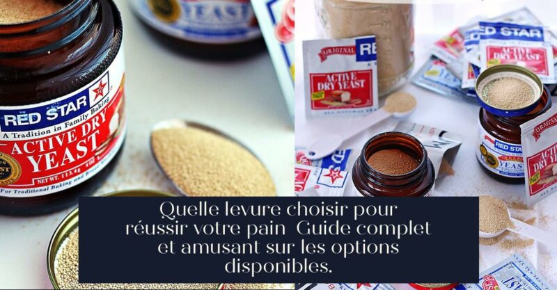 Quelle levure choisir pour réussir votre pain Guide complet et amusant sur les options disponibles.