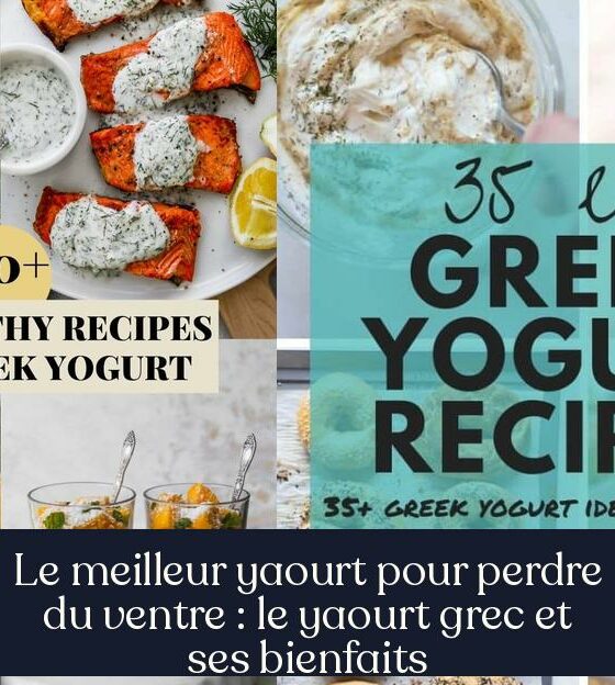 Le meilleur yaourt pour perdre du ventre : le yaourt grec et ses bienfaits