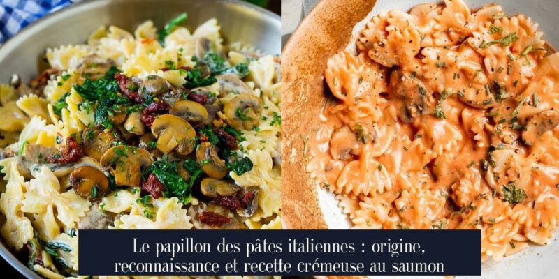 Le papillon des pâtes italiennes : origine, reconnaissance et recette crémeuse au saumon