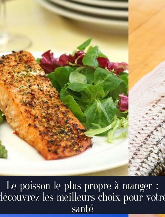 Le poisson le plus propre à manger : découvrez les meilleurs choix pour votre santé