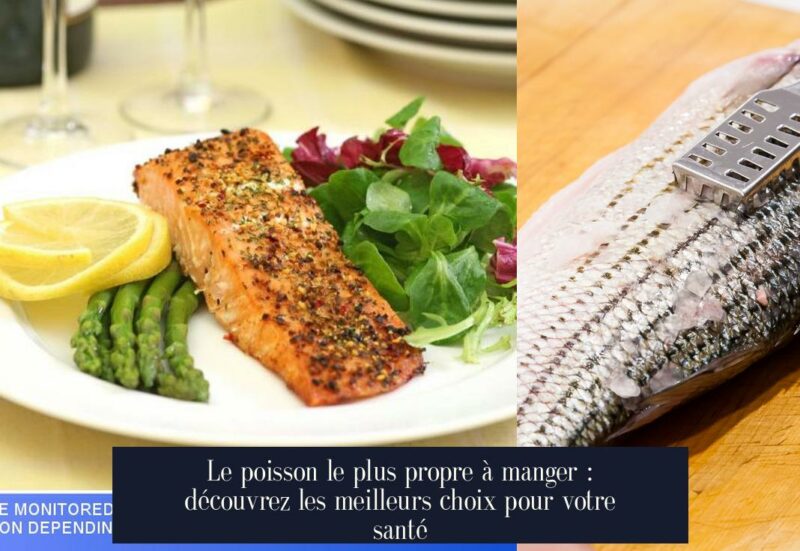 Le poisson le plus propre à manger : découvrez les meilleurs choix pour votre santé