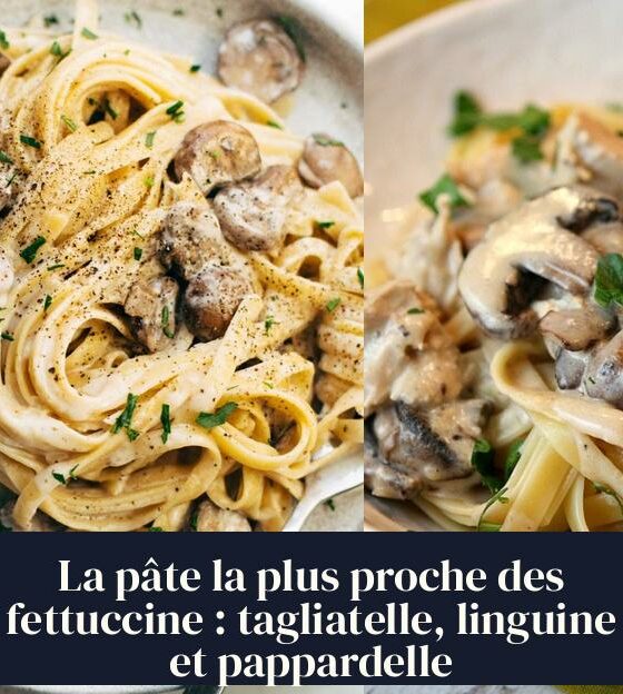 La pâte la plus proche des fettuccine : tagliatelle, linguine et pappardelle