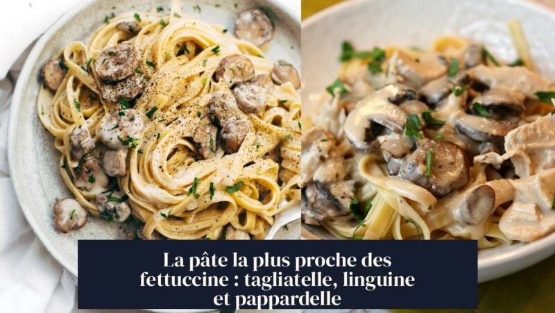 La pâte la plus proche des fettuccine : tagliatelle, linguine et pappardelle
