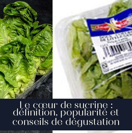 Le cœur de sucrine : définition, popularité et conseils de dégustation
