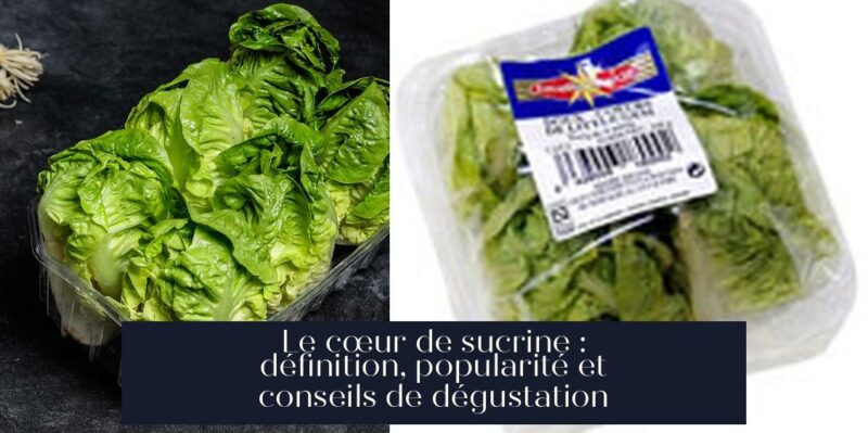 Le cœur de sucrine : définition, popularité et conseils de dégustation