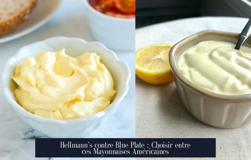 Hellmann's contre Blue Plate : Choisir entre ces Mayonnaises Américaines