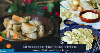 Différences entre Pierogi Polonais et Pelmeni Russes : Histoire et Garnitures