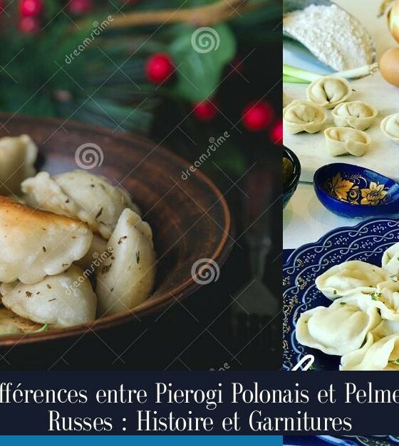 Différences entre Pierogi Polonais et Pelmeni Russes : Histoire et Garnitures
