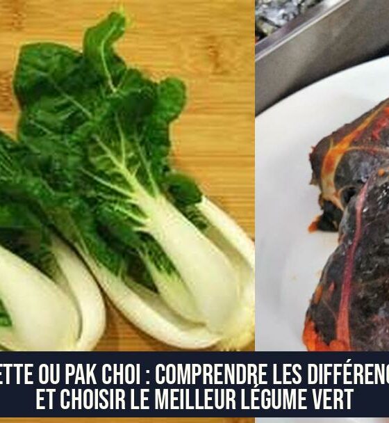 Blette ou Pak Choi : Comprendre les Différences et Choisir le Meilleur Légume Vert