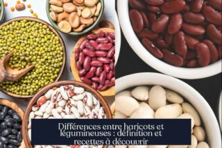 Différences entre haricots et légumineuses : définition et recettes à découvrir