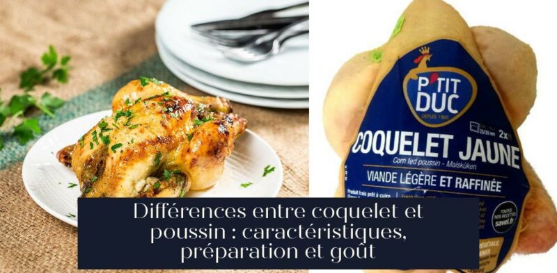 Différences entre coquelet et poussin : caractéristiques, préparation et goût