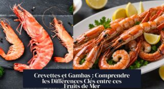 Crevettes et Gambas : Comprendre les Différences Clés entre ces Fruits de Mer
