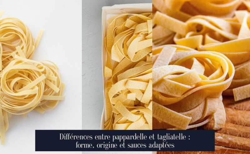 Différences entre pappardelle et tagliatelle : forme, origine et sauces adaptées