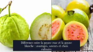 Différence entre la goyave rose et la goyave blanche : avantages, saveurs et choix culinaire
