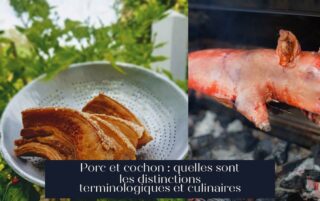 Porc et cochon : quelles sont les distinctions terminologiques et culinaires