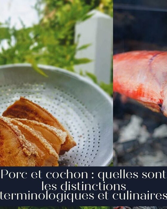 Porc et cochon : quelles sont les distinctions terminologiques et culinaires