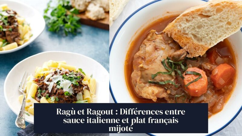 Ragù et Ragout : Différences entre sauce italienne et plat français mijoté