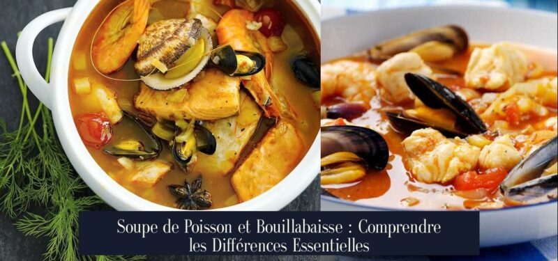 Soupe de Poisson et Bouillabaisse : Comprendre les Différences Essentielles