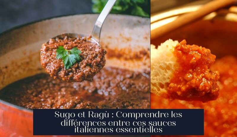 Sugo et Ragù : Comprendre les différences entre ces sauces italiennes essentielles