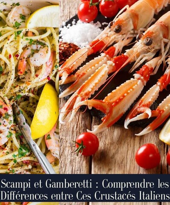 Scampi et Gamberetti : Comprendre les Différences entre Ces Crustacés Italiens