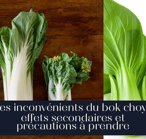 Les inconvénients du bok choy : effets secondaires et précautions à prendre