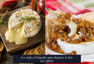 Les règles d'étiquette pour déguster le Brie avec plaisir