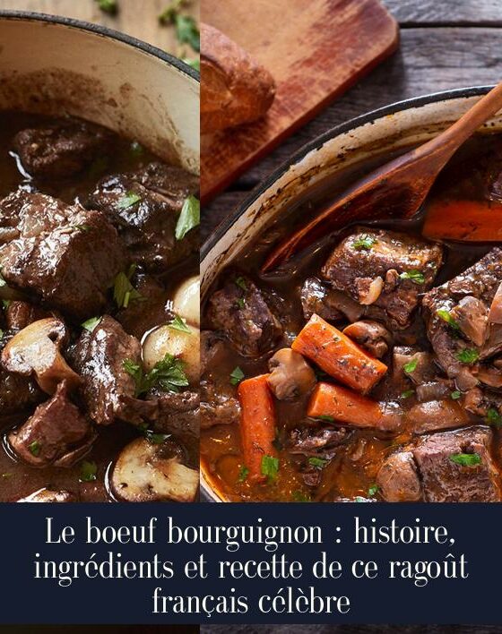 Le boeuf bourguignon : histoire, ingrédients et recette de ce ragoût français célèbre