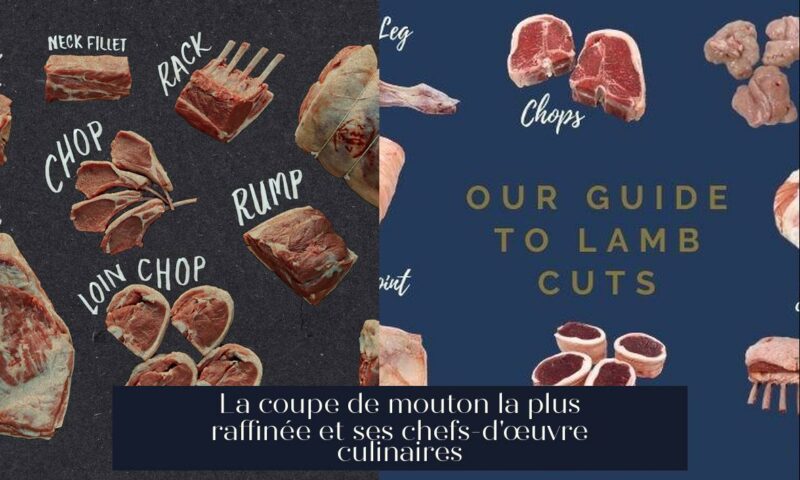 La coupe de mouton la plus raffinée et ses chefs-d'œuvre culinaires