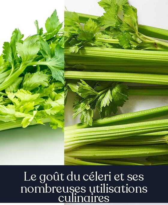 Le goût du céleri et ses nombreuses utilisations culinaires