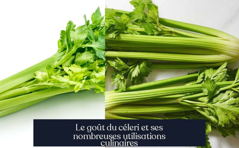 Le goût du céleri et ses nombreuses utilisations culinaires