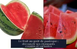 Le fruit au goût de pastèque : découvrir ses étonnants cousins et variantes