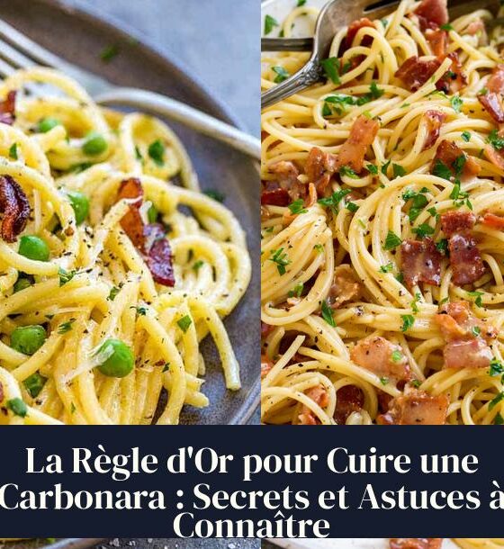 La Règle d'Or pour Cuire une Carbonara : Secrets et Astuces à Connaître