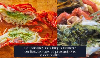 Le tomalley des langoustines : vérités, usages et précautions à connaître