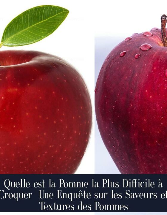 Quelle est la Pomme la Plus Difficile à Croquer Une Enquête sur les Saveurs et Textures des Pommes