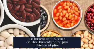 Le haricot le plus sain : lentilles, haricots noirs, pois chiches et plus