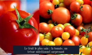 Le fruit le plus sain : la tomate, un trésor nutritionnel surprenant