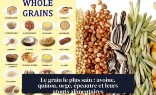 Le grain le plus sain : avoine, quinoa, orge, épeautre et leurs atouts alimentaires