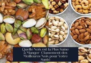 Quelle Noix est la Plus Saine à Manger Classement des Meilleures Noix pour Votre Santé